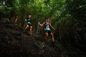 BIB: 
                            <button type="button" onclick="openModal(25098750)" class="btn btn-primary btn-sm float-right btn-popup" data-toggle="modal" data-target=".modal-high-quality">
                        <i class="fas fa-shopping-cart"></i> Add to Cart
                    </button>
                                            <button type="button" onclick="isThisMe(25098750, true)" class="btn btn-success btn-sm float-right btn-popup btn-isme hidden" data-toggle="tooltip" data-placement="bottom" title="นี่คือรูปของคุณใช่ไหม คลิกที่นี่เพื่อเอาเข้าอัลบั้ม">
                        <i class="fas fa-plus"></i> Add to album
                    </button>
                    <button type="button" onclick="isThisMe(25098750, false)" class="btn btn-warning btn-sm float-right btn-popup btn-isnotme hidden">
                        <i class="fas fa-ban"></i> Remove from album
                    </button>